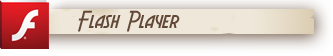 Flash Player